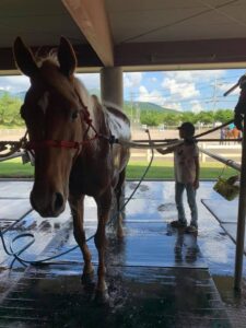 2020年夏「何をするかよりもどんな自分で在るか」