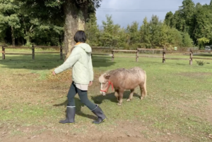 つながりを感じると起きてきた変化