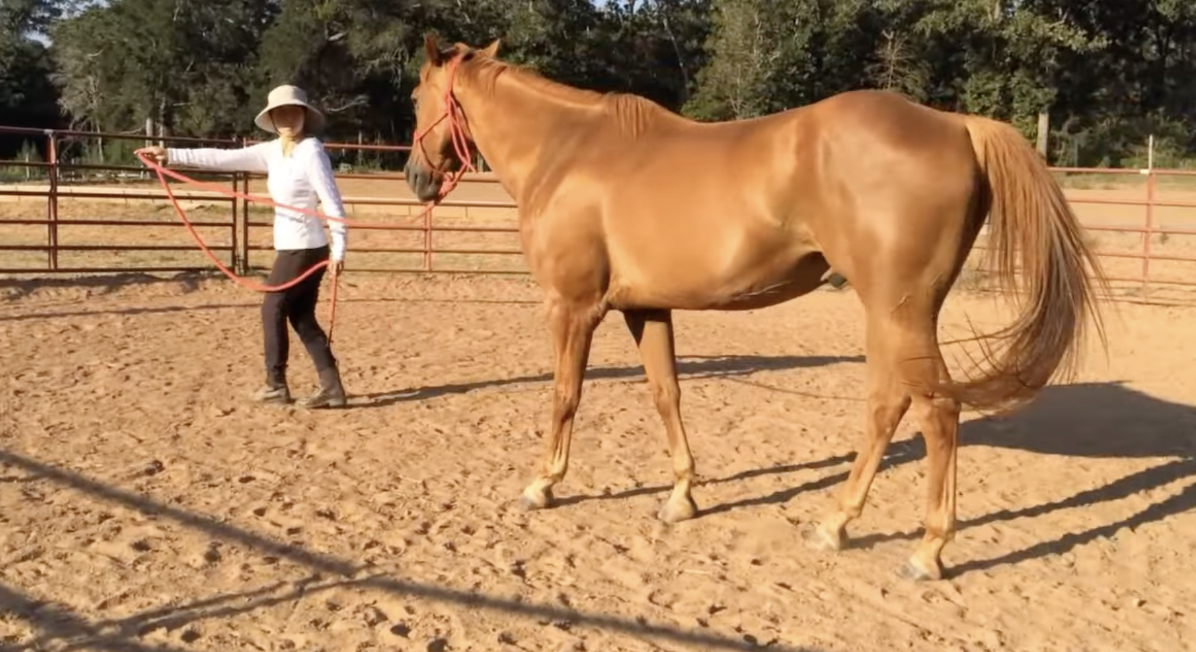 2008〜2014年 テキサス親子馬リトリート