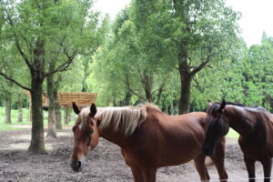 自分の思考の癖がわかって楽になったような気がします