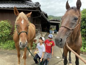 親子馬リトリート：イメージとテレパシー