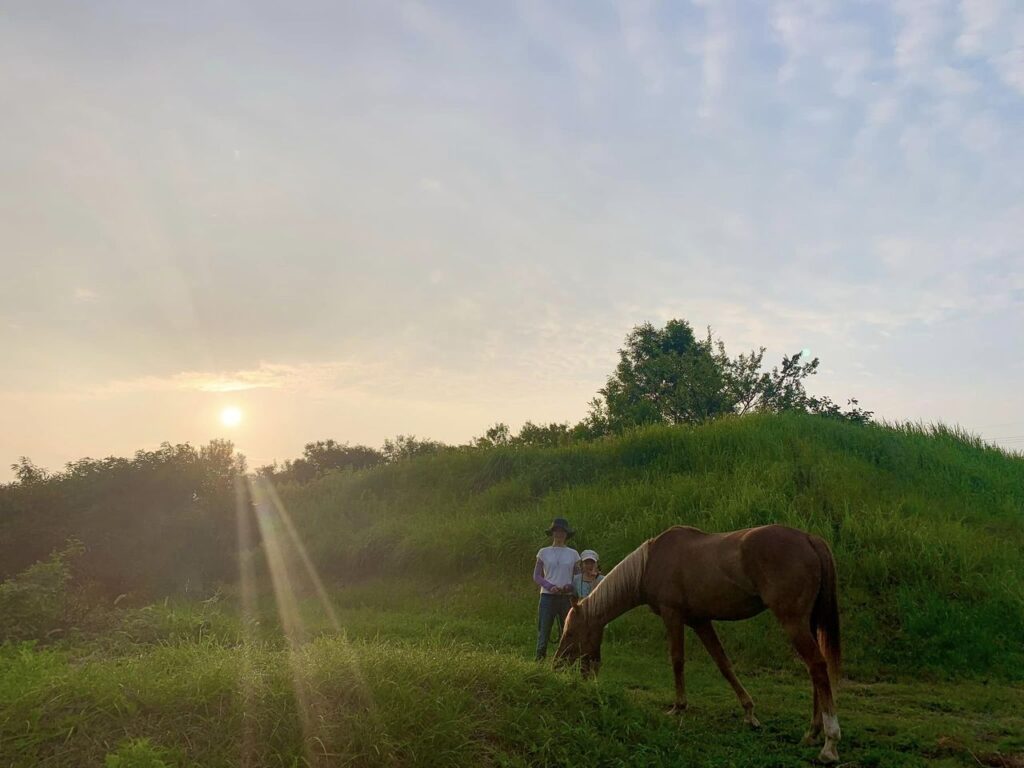 親子馬リトリートのご感想
