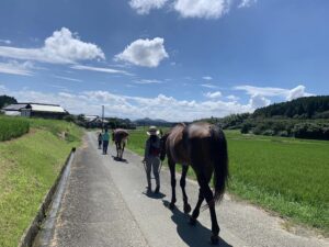 親子馬リトリート：頭と身体