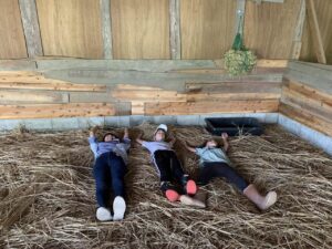 かっこいい！ガールズ馬キャンプ