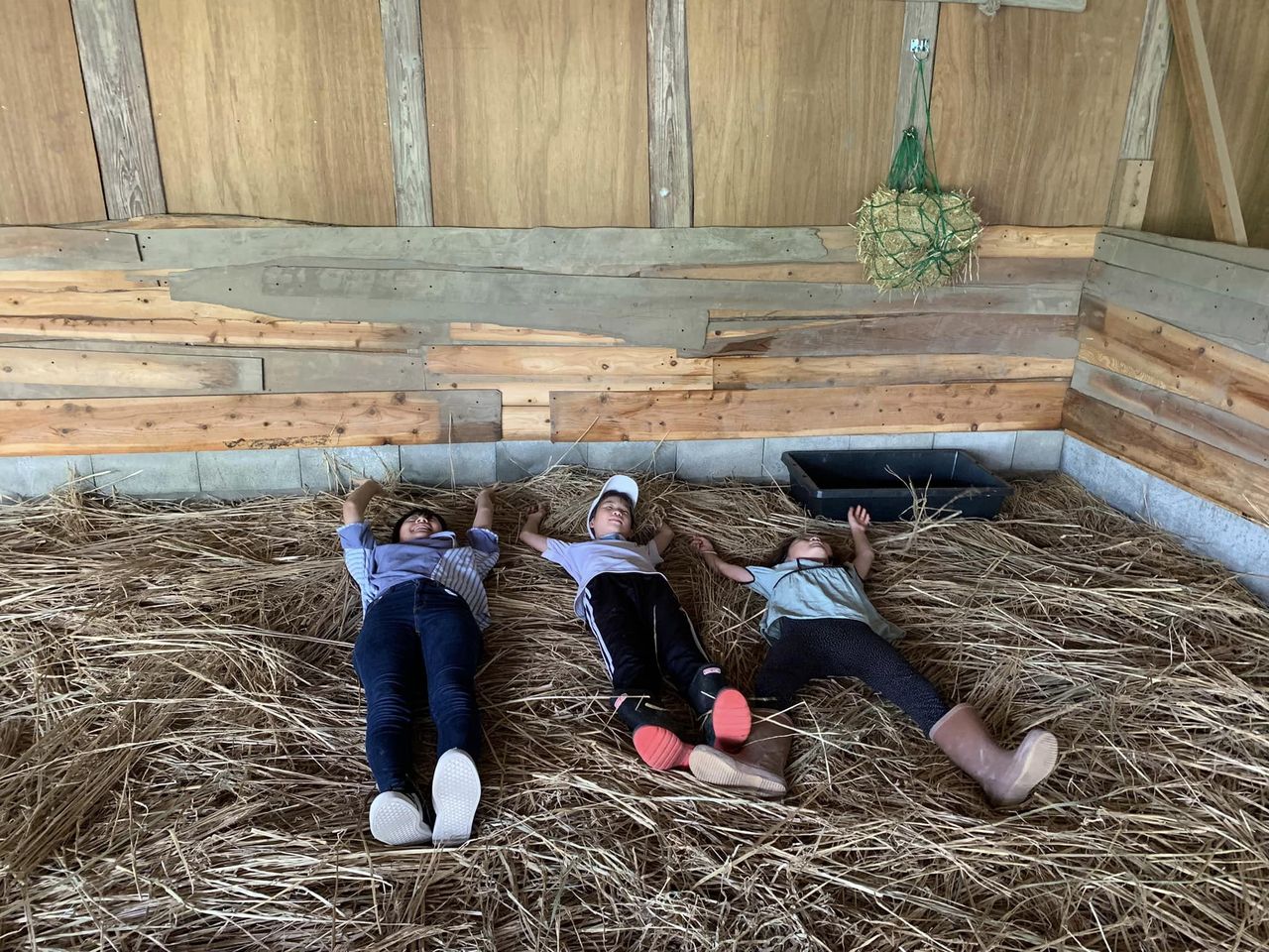 かっこいい！ガールズ馬キャンプ