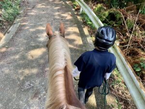 人を乗せてひき馬するとき