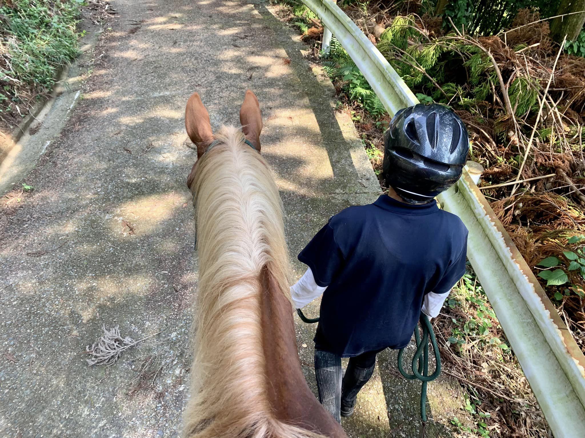 人を乗せてひき馬するとき