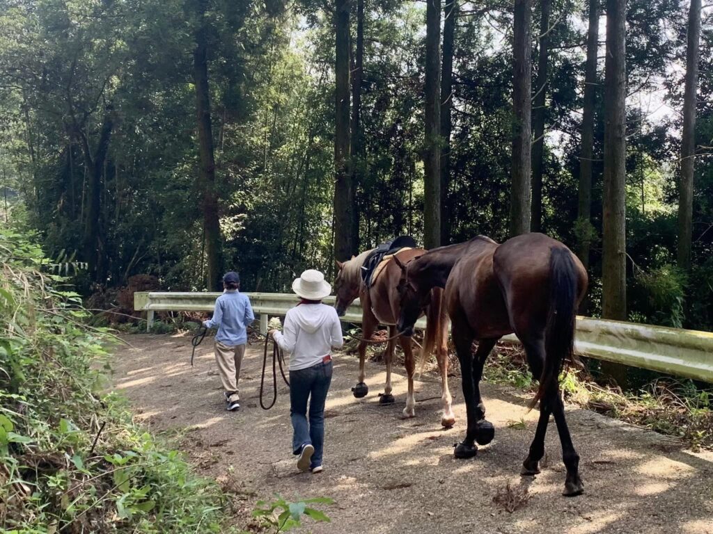 人様の子どもの成長に関わる喜び