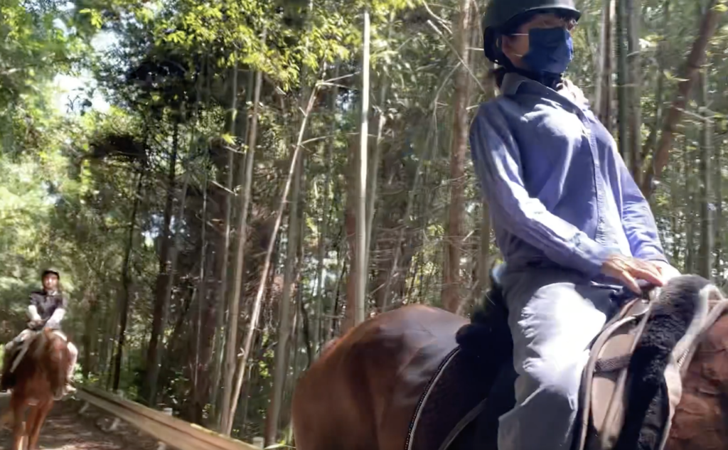 初めて馬に乗る人