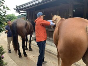 社長さんたちの馬体験