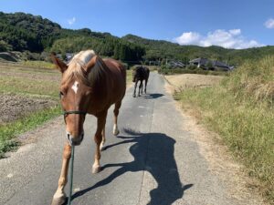 自由意志は存在するのか?