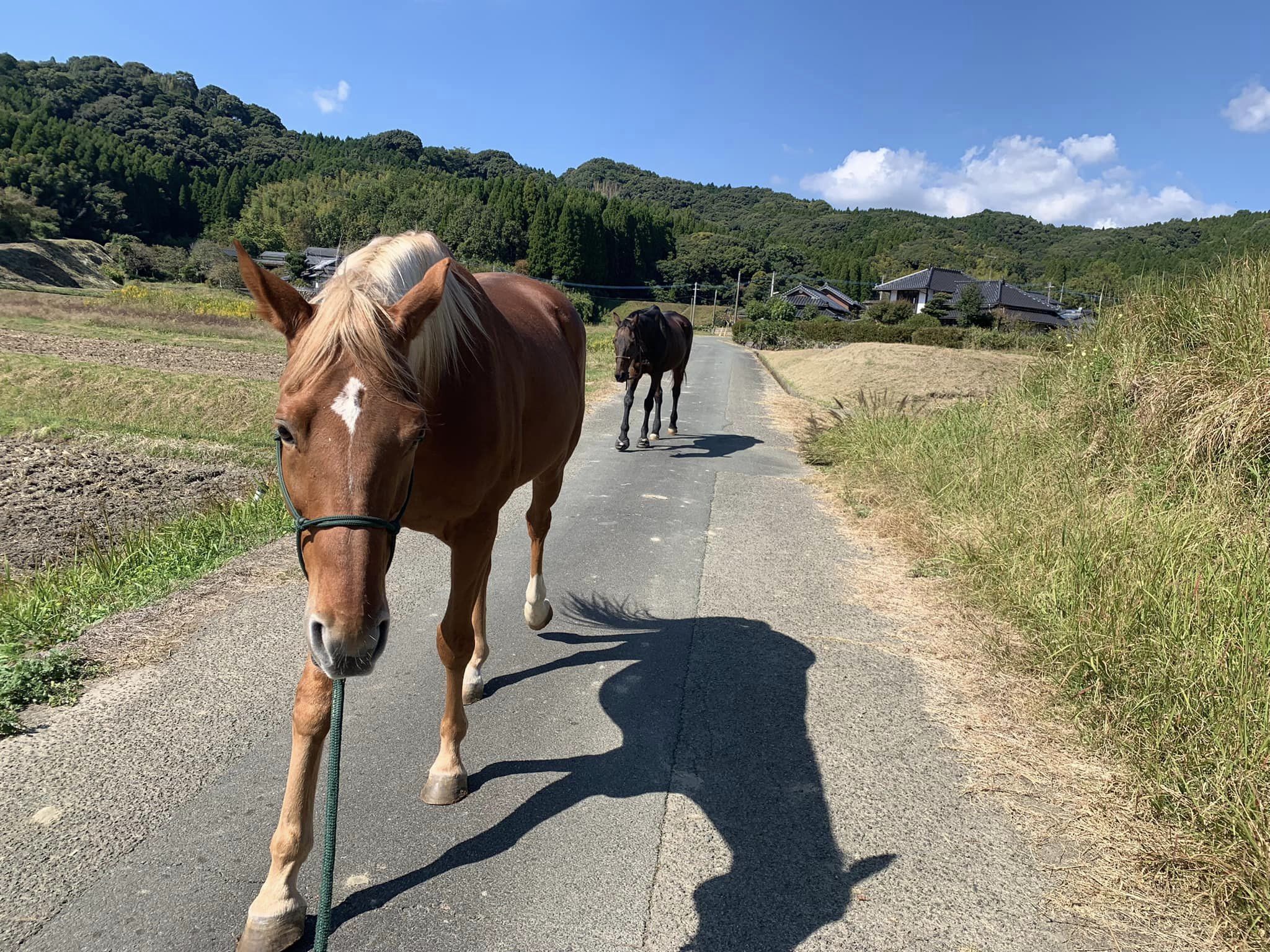 自由意志は存在するのか？
