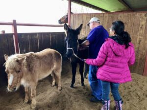 馬は自分を知るための最適な鏡