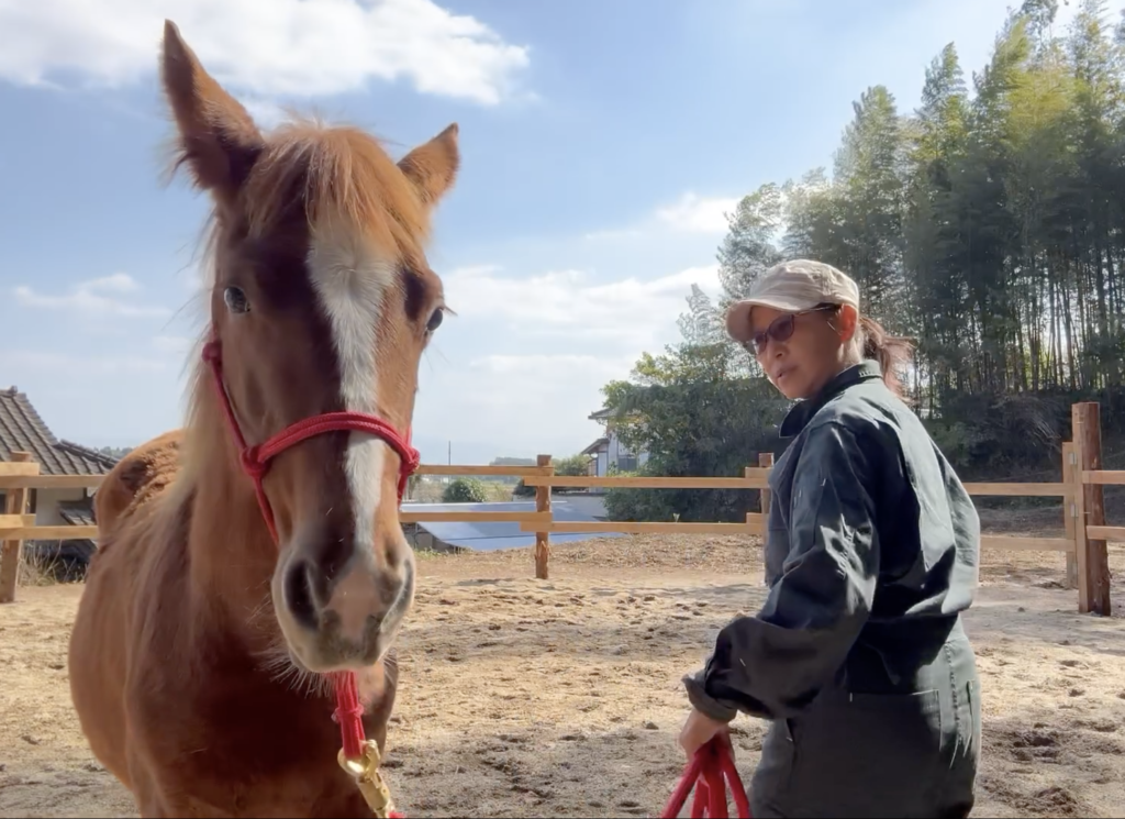 怖さから心が解放されるには学ぶことが必要