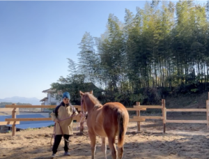 寿ちゃんと四季ちゃんの成長過程
