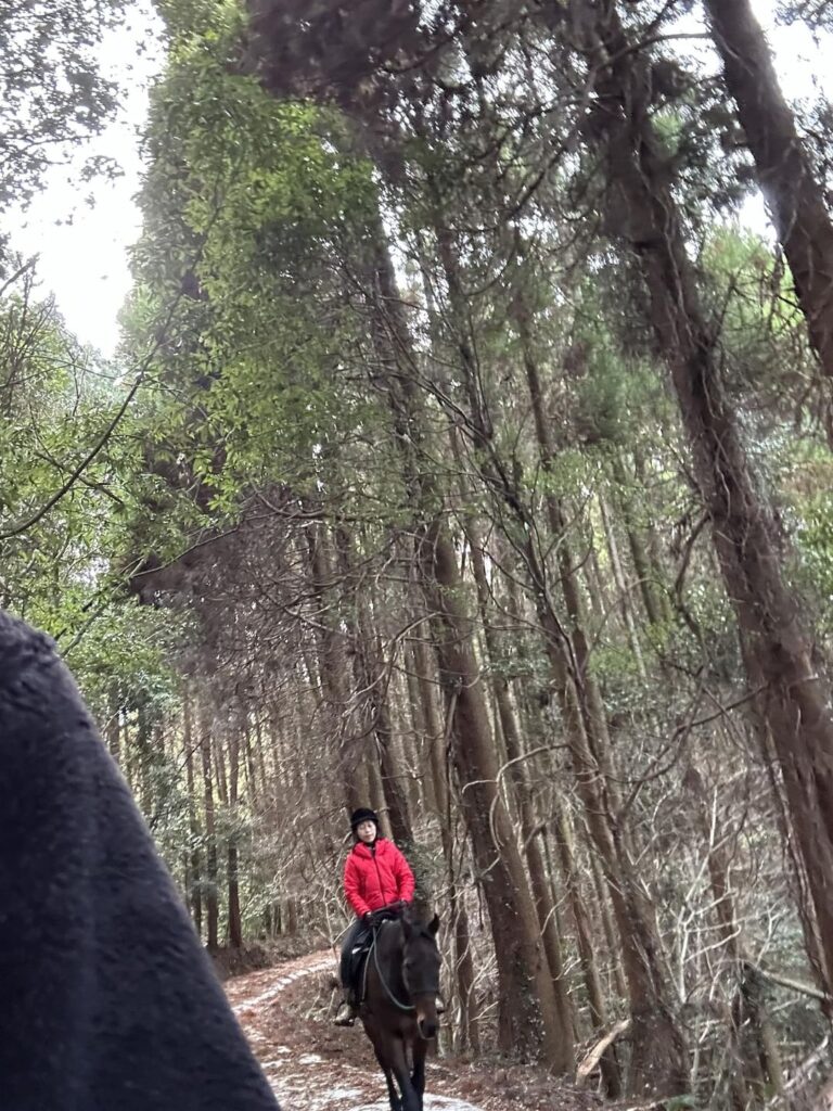 本日のリトリート模様