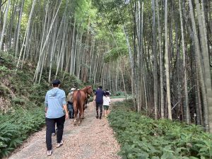 個々が内面から幸福になることが世界を変えるための道ではないか