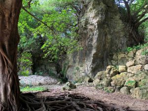 鬱の一歩手前から回復されたお母さん
