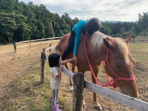 3回目の参加「馬が鏡のように自己の状態を教えてくれます」