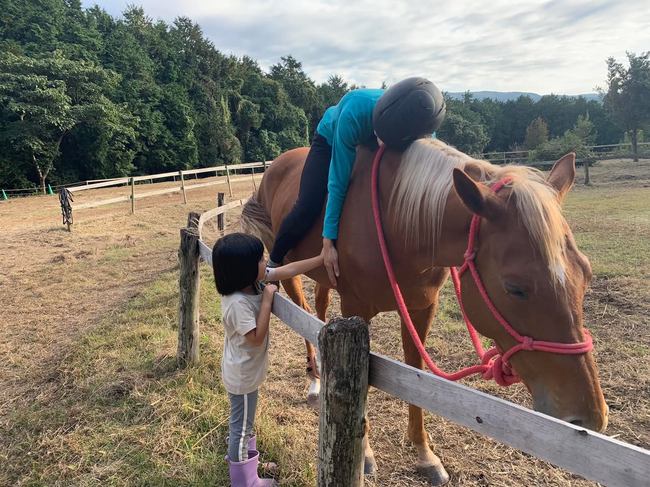 3回目の参加「馬が鏡のように自己の状態を教えてくれます」