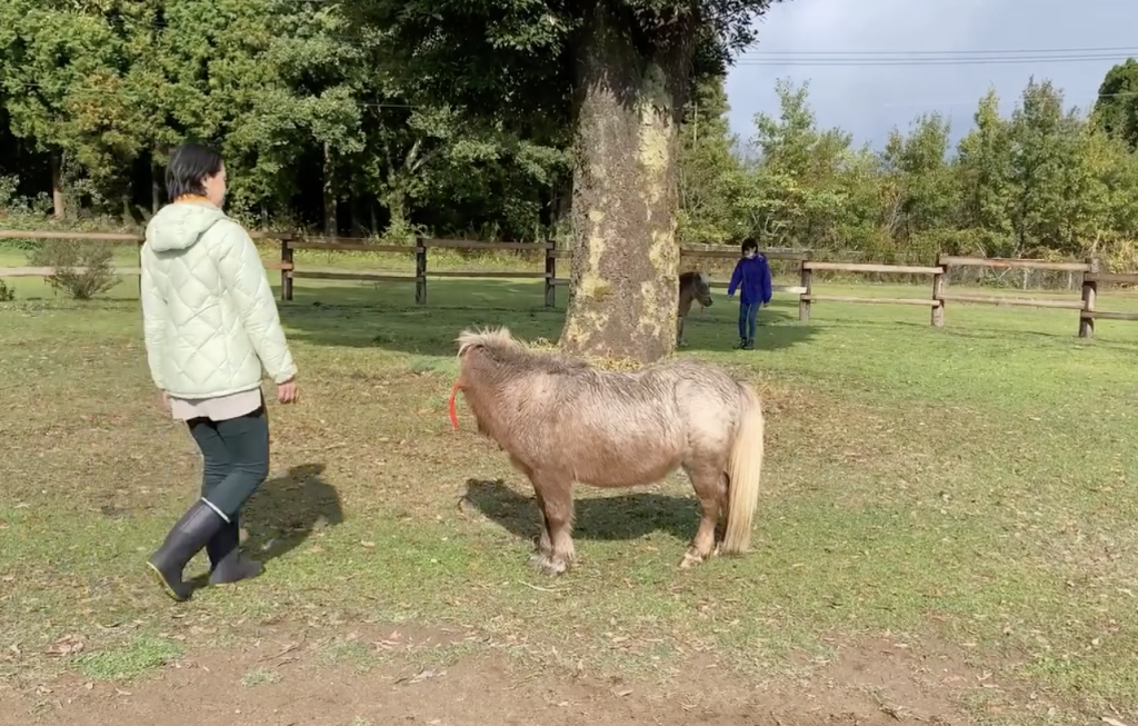 馬と意識を繋げる