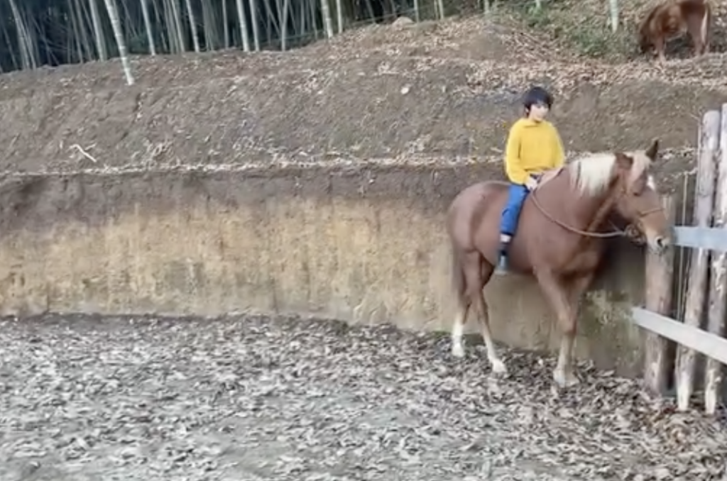 一人っ子のお母さんへ