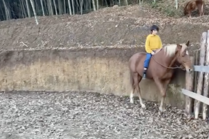 一人っ子のお母さんへ