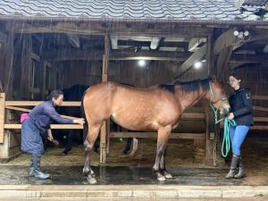 小さいころに身に着けておくことは