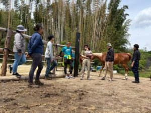 「野性回帰ホースキャンプ」レポート