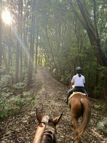 00AD93A8-321F-454C-BC5B-F20E663C4AA1