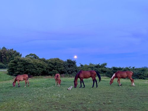 0C395364-5D4E-4F3D-9072-A9C37D861C2B