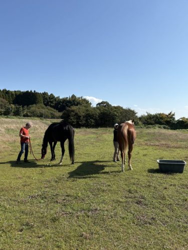 1A89E567-E4D8-4600-952F-106DDDB64797