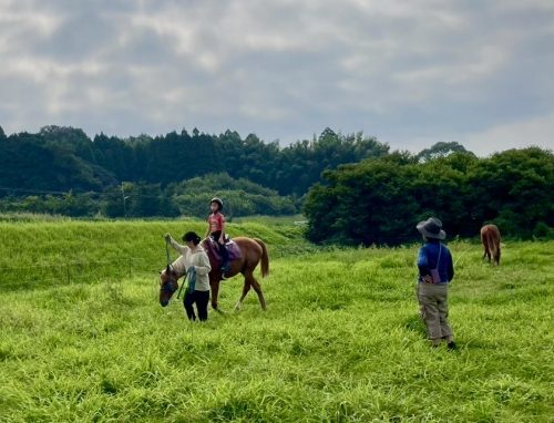 213924DF-7291-47A9-8467-BBD2444C2BA4