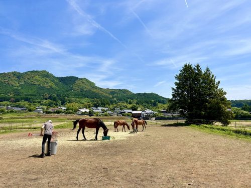 226318C6-9A7C-4E87-B429-4F8881BE038E