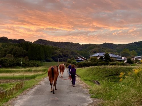 227A3864-9F72-4DAF-A969-5F6F286ECC7C