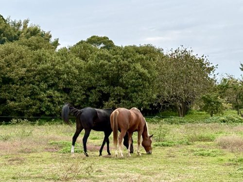 27FE5C95-5450-4220-8967-003F3B39942D