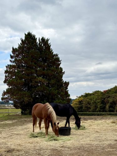 3134B921-0086-423B-B2B9-71480333C19E