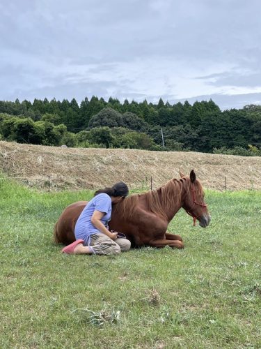 33E06535-2E86-480B-AB9E-254A90AA6B06