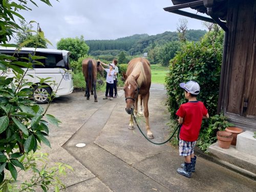 37241F3E-C2A5-477A-B568-DA73F5DD859F