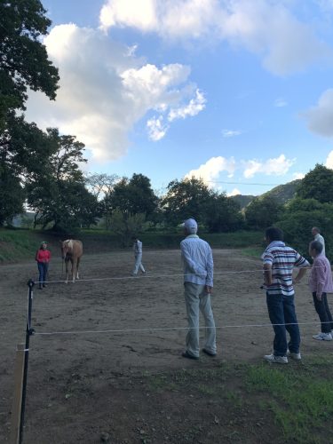 381ECDEF-B294-473D-8A35-5CF6A13ADE5D