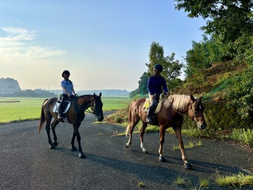 3856C0EF-B9FF-44DE-8545-C500E3B3E0F9