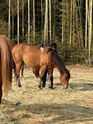 3AF2DF64-F2F5-4204-BADD-4DAB1D586EEA