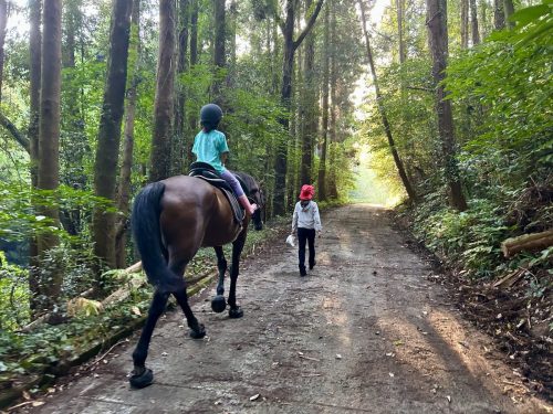 3BB5C647-A91C-4D97-B0A3-2E4C909A61FD