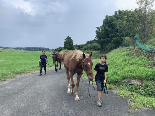 4ACB9654-1687-4858-AD3C-9C59926B4260