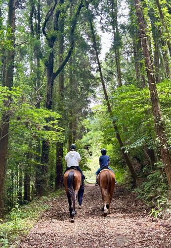 58ECF5EA-08EE-47DA-8473-0EB93C368F39