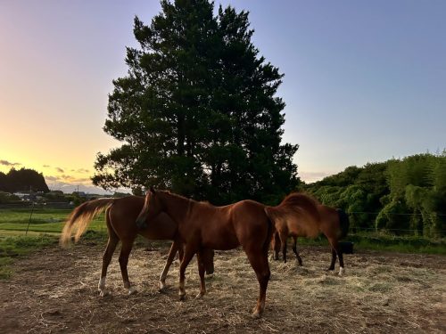 6908C5A1-FBCC-440D-A7C5-A5860720742B