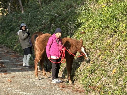 7365FFA9-F770-49FA-B9A9-BA036AD371CE