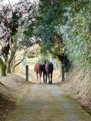 76C7A954-1DD0-446D-B256-A501233DDC8A