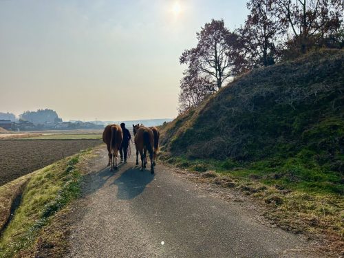 774216B0-2AAF-4BD9-82FB-CB792DDF0FC1