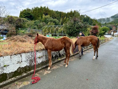 8708DE0E-1355-49D3-A8C2-DF194AF16E91